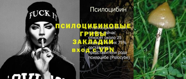 мет Балахна